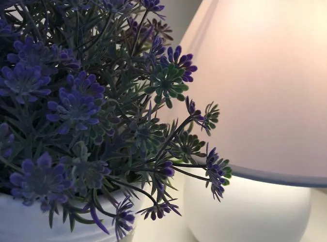 Blablaflat Grunwaldzka Pansiyon Swinoujscie